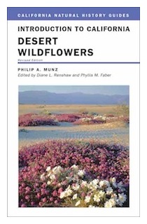 munz-desert-wildflowers