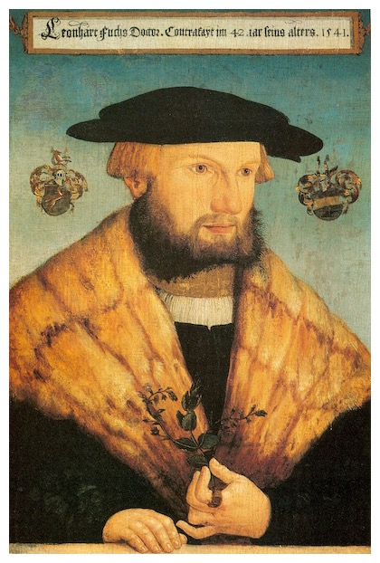 leonhart-fuchs-portrait