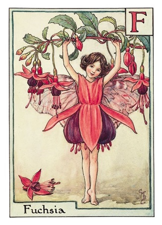 the-fuchsia-fairy