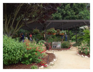 2013-06-08 South Coast Botanic Garden 190