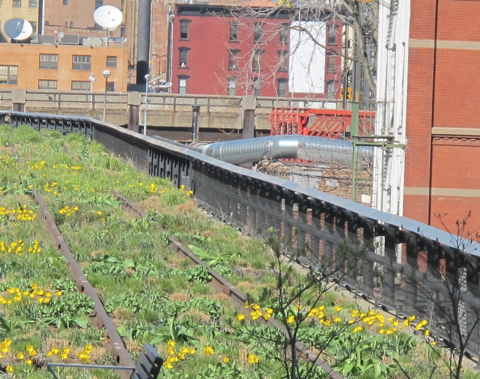 2012-04-03 High Line 42