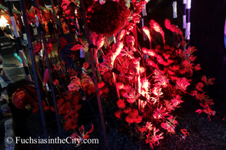 2015-03-Philly-Flower-Show-1403