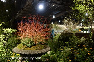 2015-03-Philly-Flower-Show-591