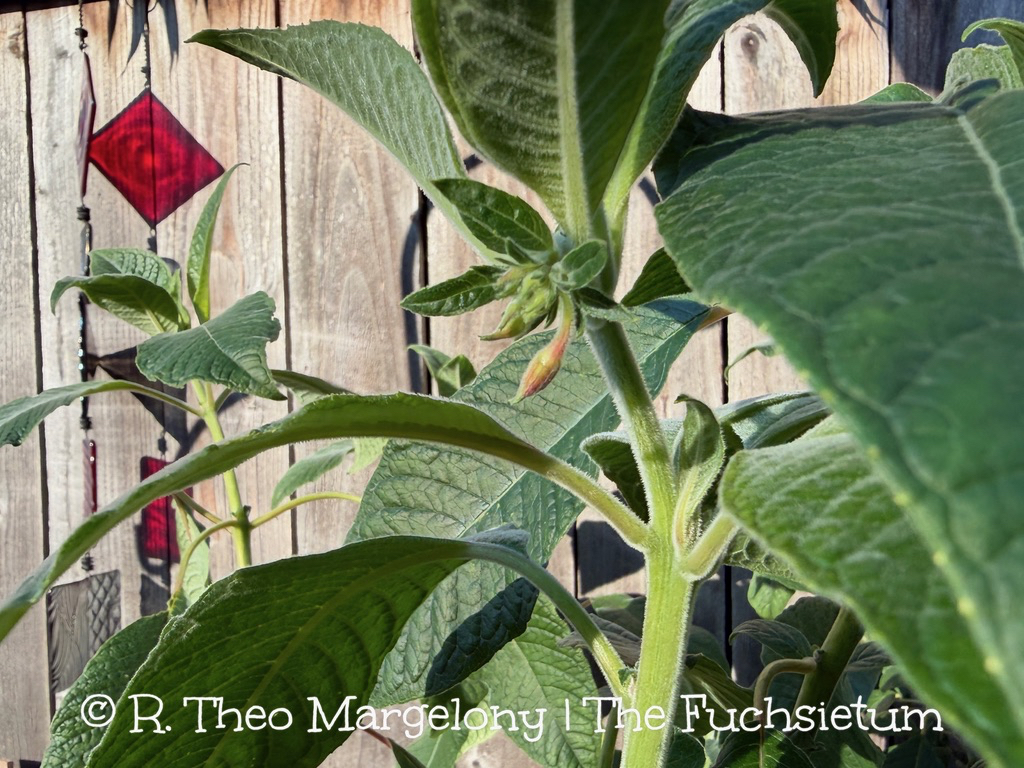 23A5B289-E5F1-4CCD-8634-0074A7DE6D80_1_105_c