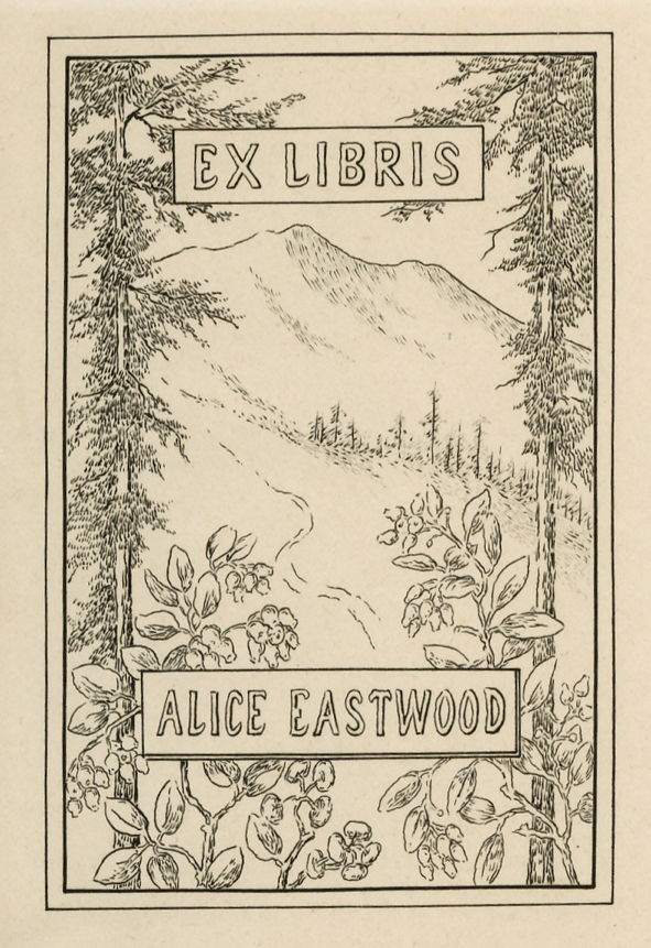 alice-eastwood-10