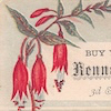 Buy yopu meats at kennedy&#39;s Market copy