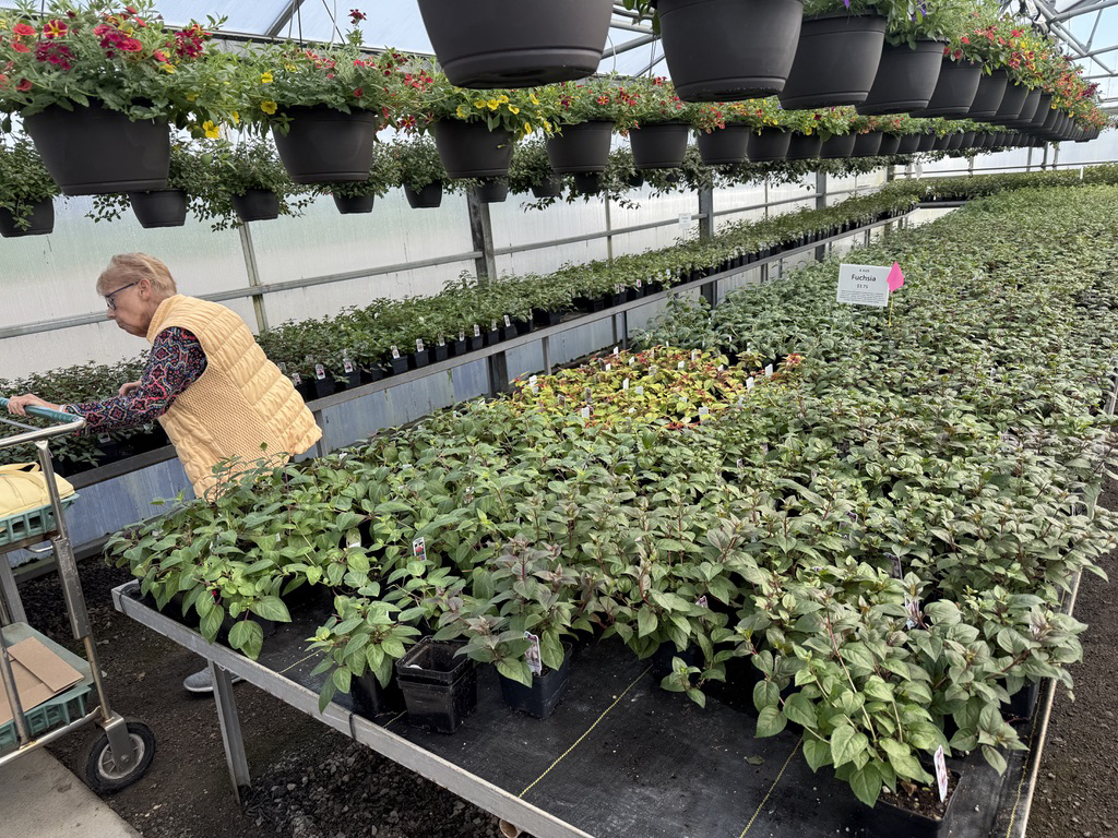 C0D2D520-95F9-439B-A124-1FD724113E27_1_105_c