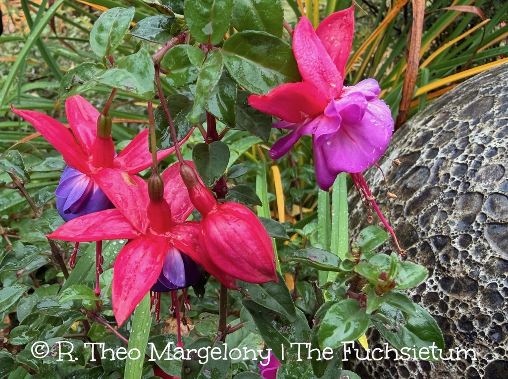 CAA3D771-C136-4413-BFBD-BEE3FD99C13D_1_105_c