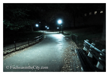 central-park-at-night-19