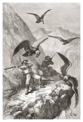 edouard-francois-andre-and-companion-being-attacked-by-condors-near-calacali_a-l-13568094-8880726