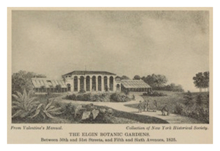 elgin-botanic-garden-03