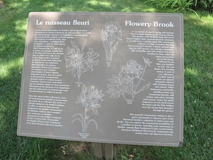 flowery-brook