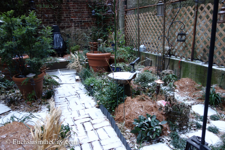 winter-garden-2014-16