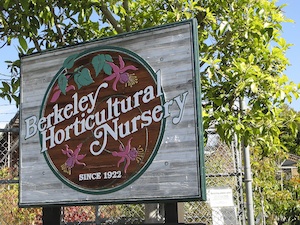 berkeley-horticultural-nursery-300px